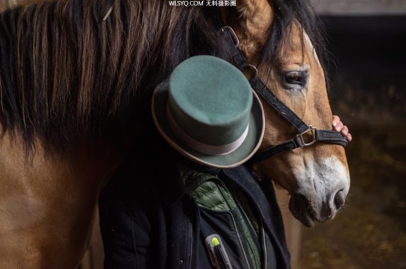 付費圖片-這些是我們2025年最好的動物照片[26P]