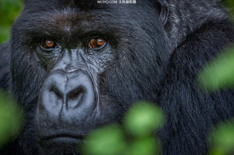 納特 Nat Geo [6P]-無料攝影圈