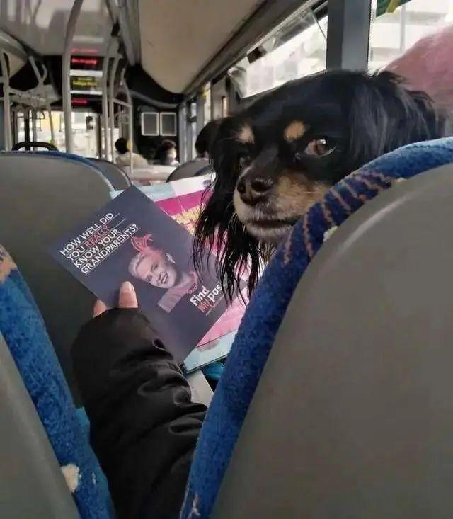 20張照片太離譜：第一眼看錯的你，不是一個人插圖16