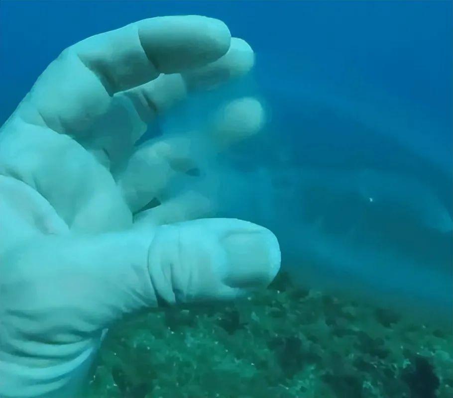 20張照片讓你大開眼界：原來地球比想象中還“離譜”！插圖7