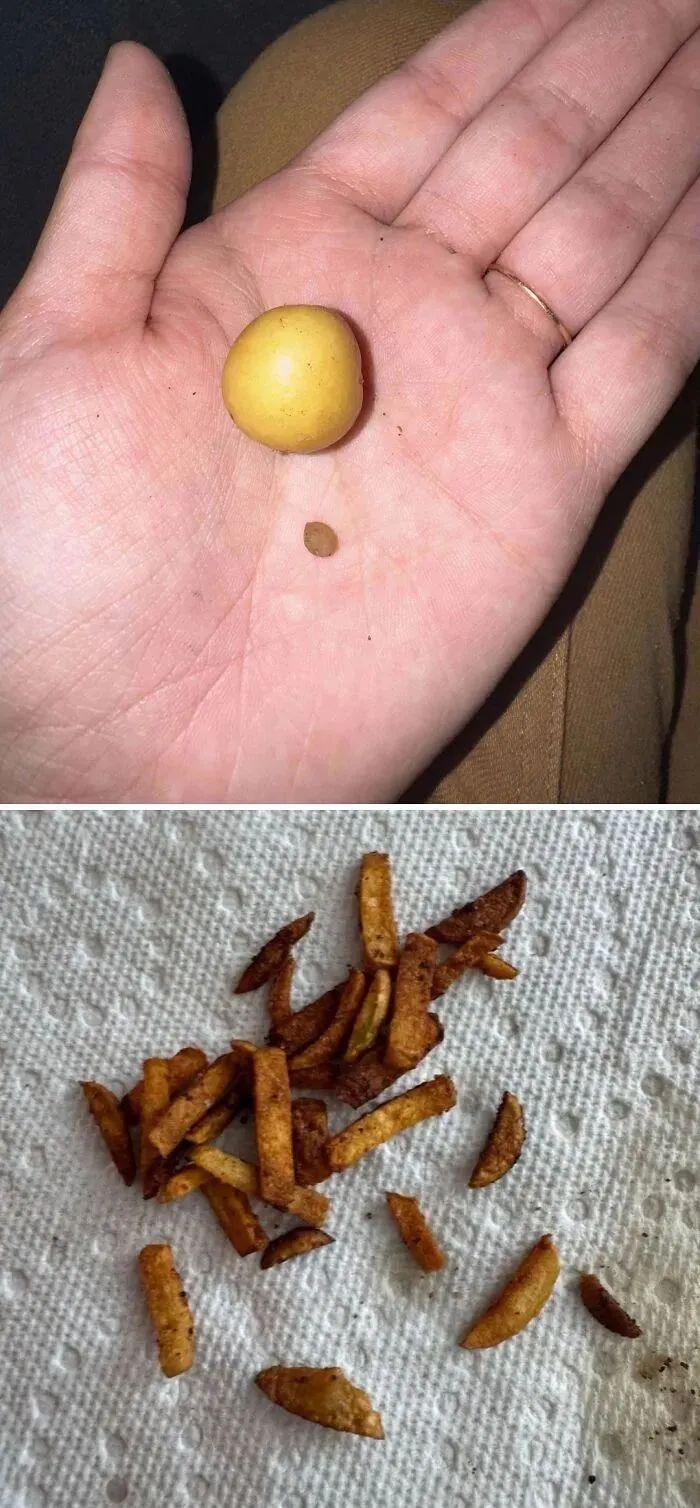 38張搞笑又扎心的收獲照：有人種出“拳頭番茄”，有人收獲一顆藍莓插圖28