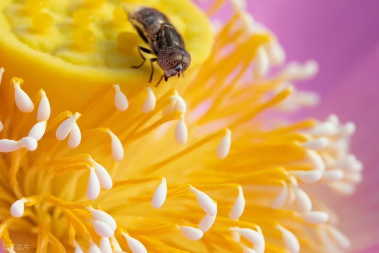 攝影干貨｜9個細節(jié)表現法，讓你的照片質感爆棚！插圖1