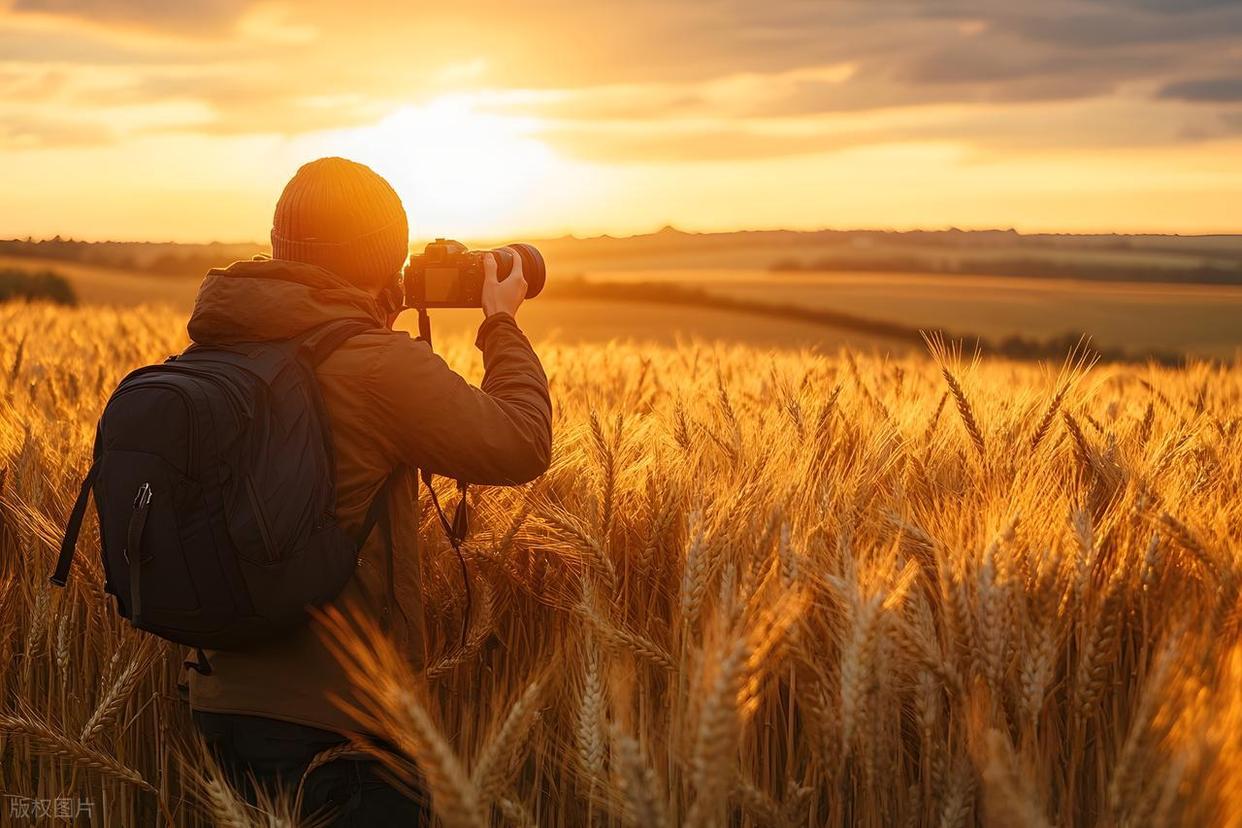 攝影新手進(jìn)階：解鎖不同時(shí)段光線密碼！插圖