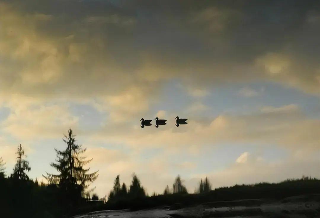 26張“腦洞大開”的錯覺照：沒有PS，卻比魔術還離譜插圖7