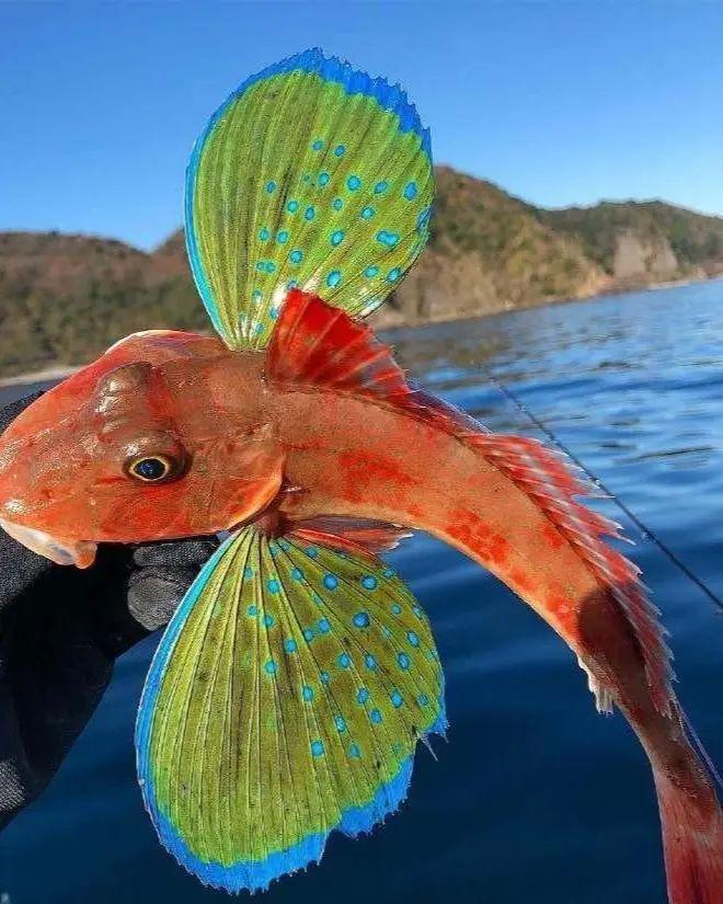 20次地球開掛的時刻：拍下來的那一刻，我開始重新審視世界！插圖7