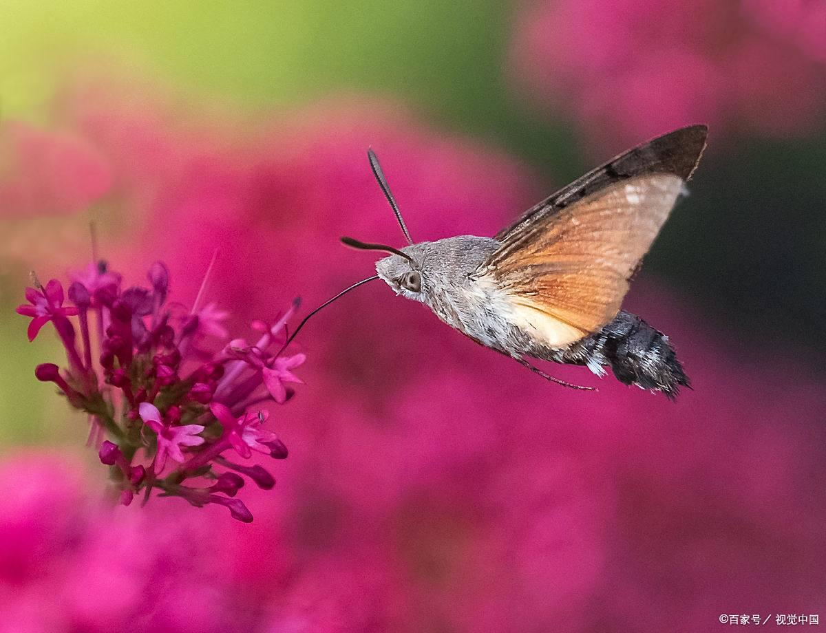 攝影新手避坑指南：別讓這些錯誤毀了你的大片夢！插圖5