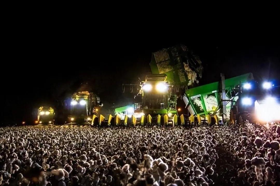 26張“腦洞大開”的錯覺照：沒有PS，卻比魔術還離譜插圖10