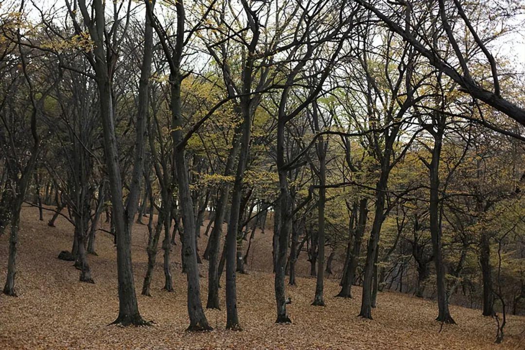 20個地球“噩夢角落”，有人打卡，有人一眼都不敢看插圖12