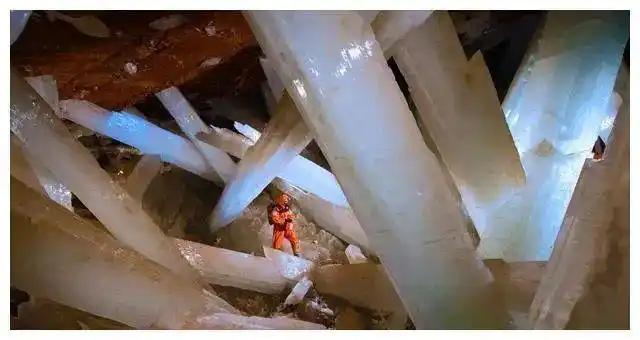 見過會“透明”的鯊魚嗎？30張讓人瞠目結舌的自然奇觀照片插圖18