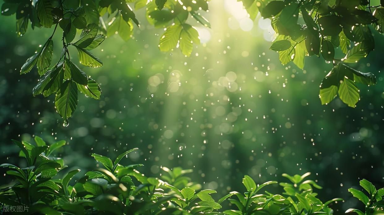 攝影新手進(jìn)階：解鎖不同時(shí)段光線密碼！插圖6