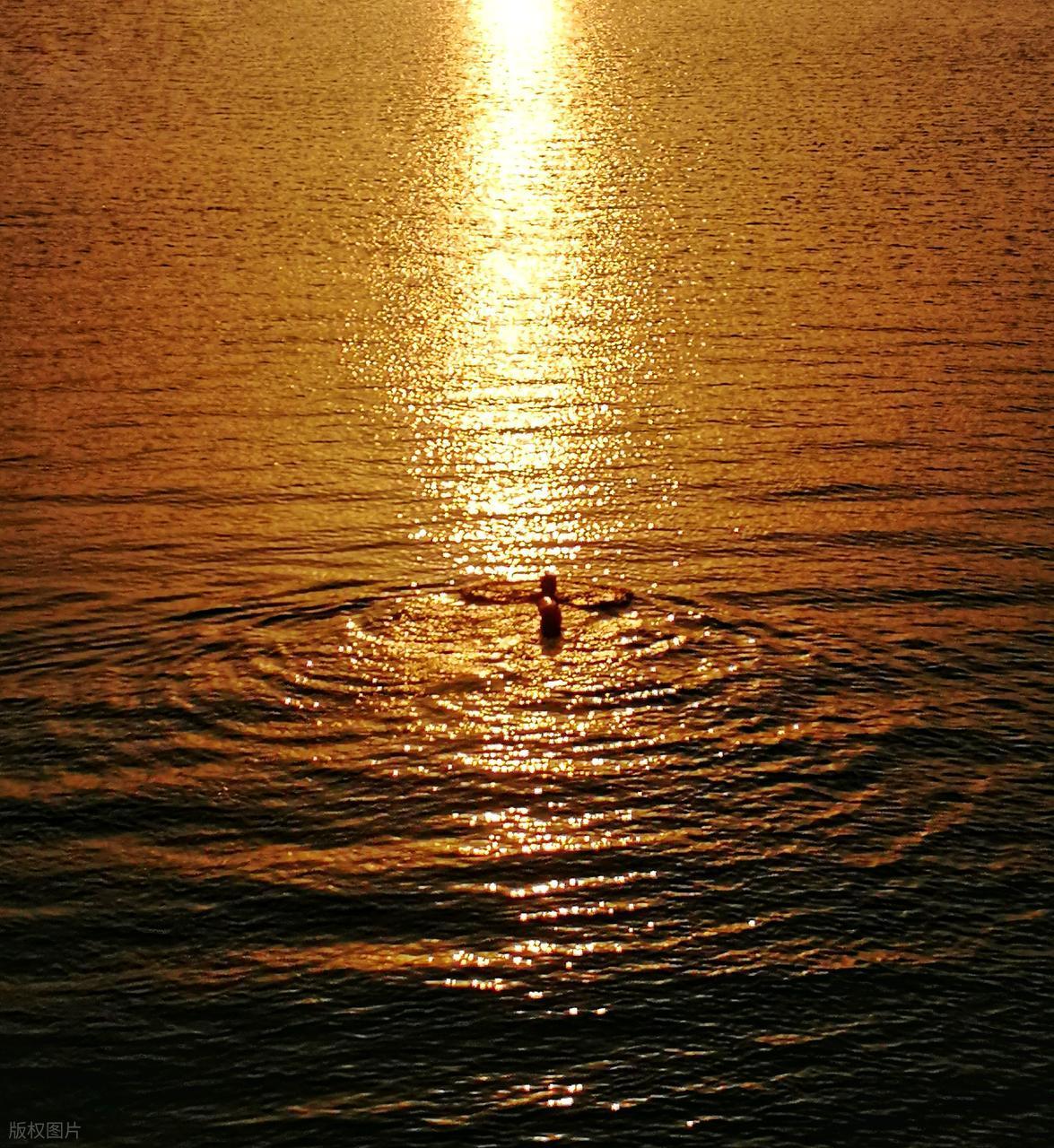 波光粼粼水面拍攝全攻略：從參數(shù)到氛圍的核心技巧插圖12