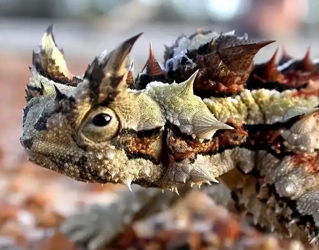 20張照片讓你大開眼界：原來地球比想象中還“離譜”！插圖9