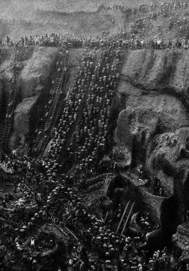 見過會“透明”的鯊魚嗎？30張讓人瞠目結舌的自然奇觀照片插圖11