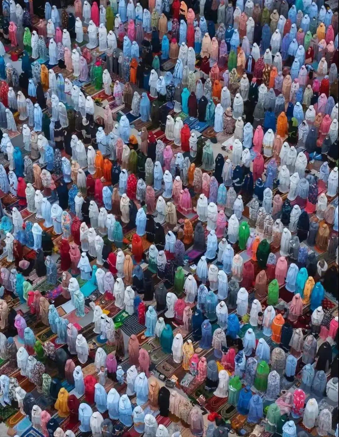 你從未見過的35個地球視角：自由女神骨架、垃圾圍城、兔子洞剖面全曝光插圖20