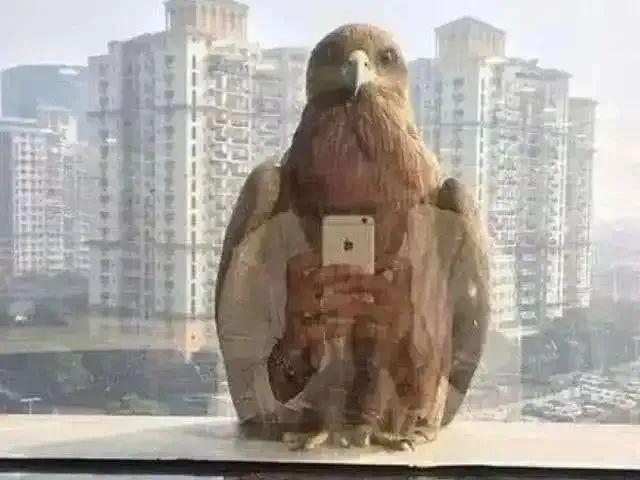 這些照片太會“騙人”：20個讓你大腦短路的錯覺瞬間插圖12