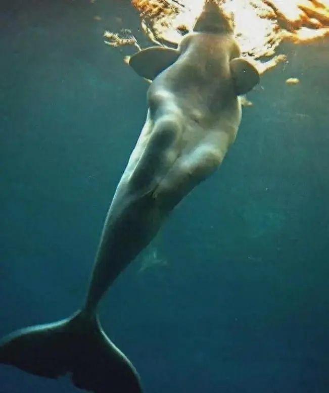 25個世界奇景：人類、動物和地球都在“整活”，看完大開眼界插圖14