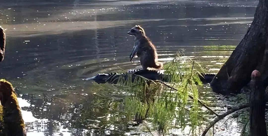 20次地球開掛的時刻：拍下來的那一刻，我開始重新審視世界！插圖8