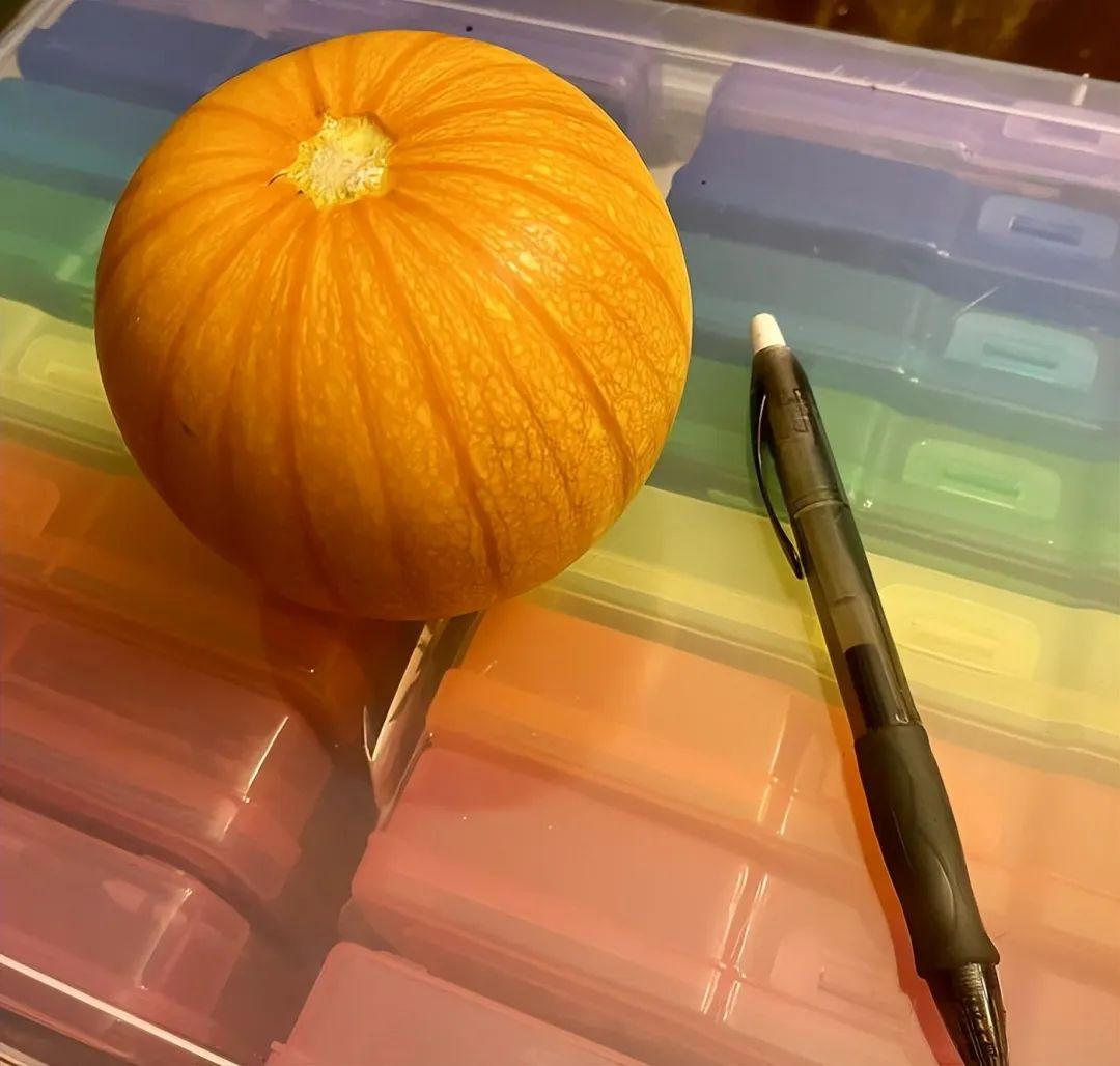 38張搞笑又扎心的收獲照：有人種出“拳頭番茄”，有人收獲一顆藍莓插圖1