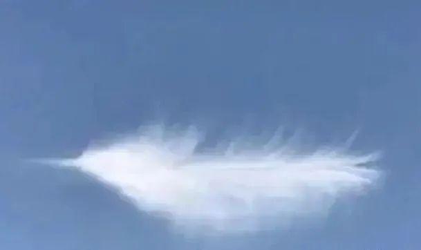 這些照片太會“騙人”：20個讓你大腦短路的錯覺瞬間插圖9