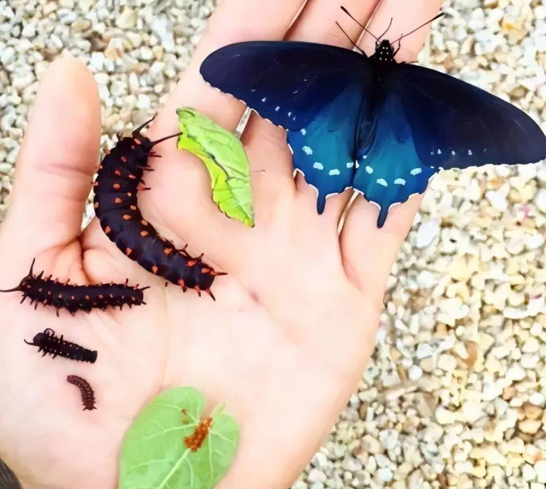 20張照片讓你大開眼界：原來地球比想象中還“離譜”！插圖3