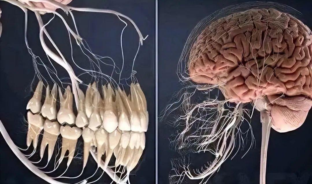 20張照片讓你大開眼界：原來地球比想象中還“離譜”！插圖17