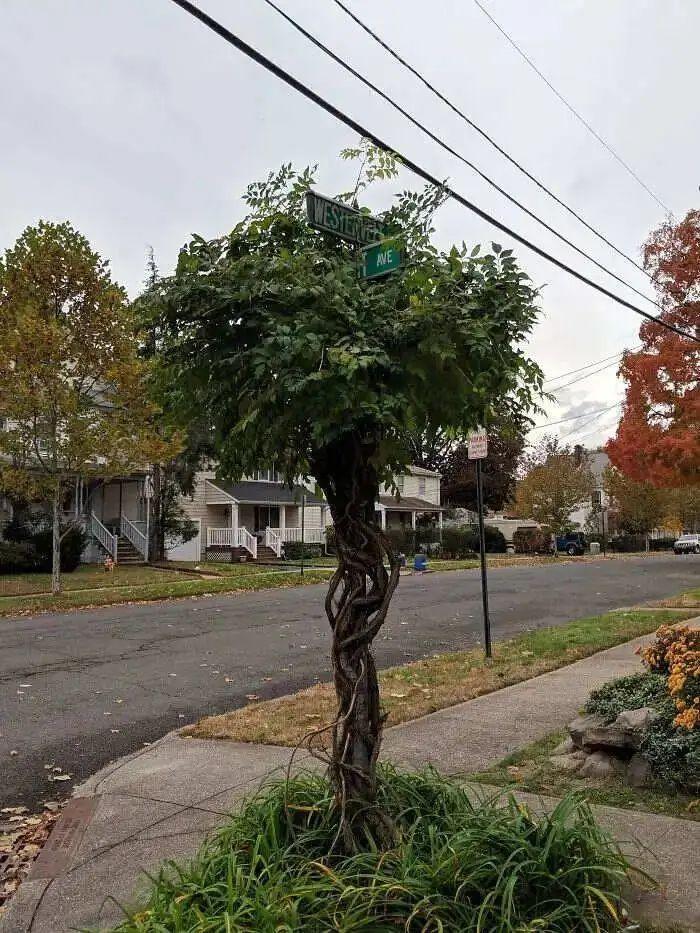 21個(gè)被自然“接管”的地方：人類消失后地球就是這樣的！-無料攝影圈