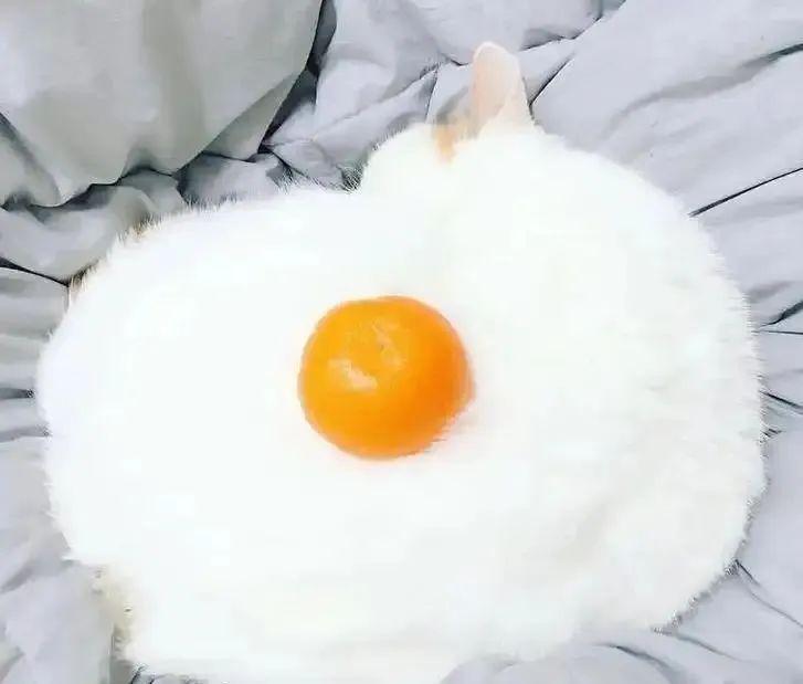 這些照片太會“騙人”：20個讓你大腦短路的錯覺瞬間插圖17