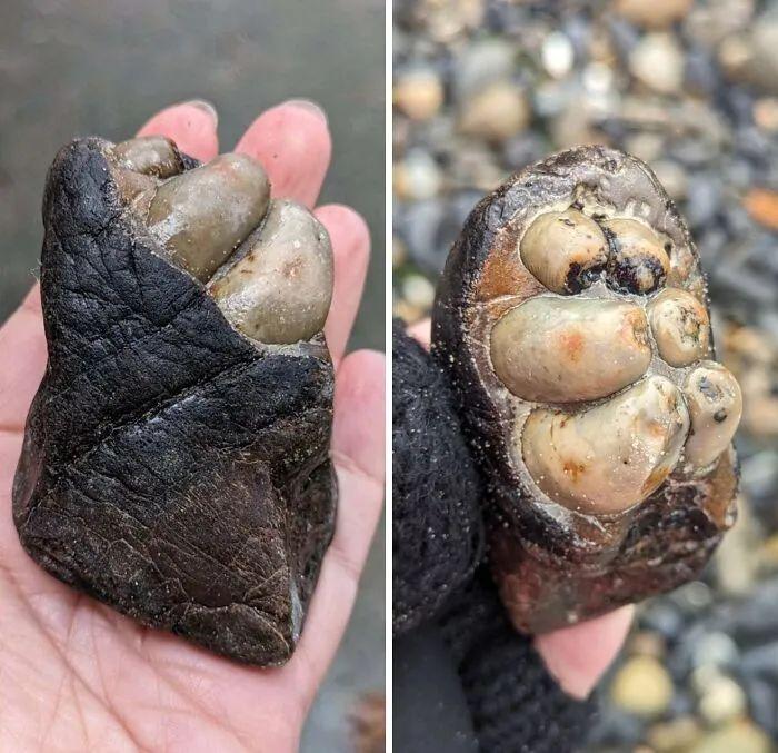 30 張“眼見不一定為實”的照片，挑戰你對現實的認知插圖23