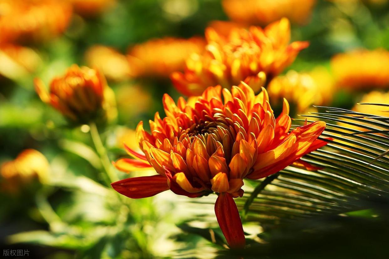 從“亂拍”到“出片”，攝影人的秘密全公開！插圖5