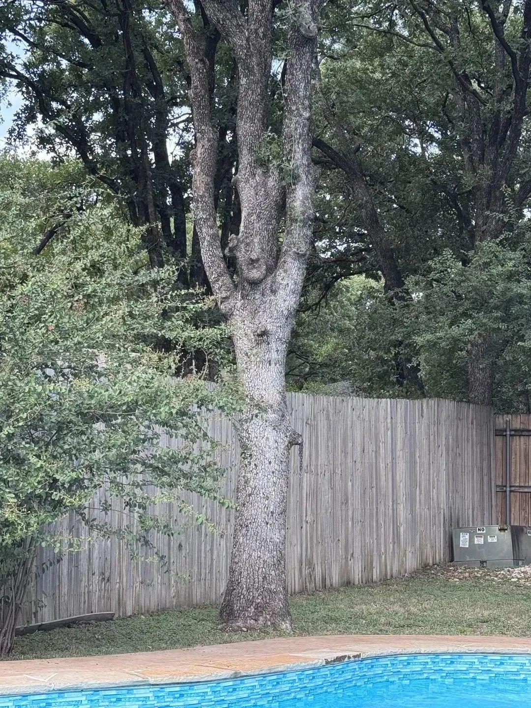 25張一眼會看錯的照片：你看到的，可能根本不是事實！挑戰一下？插圖23