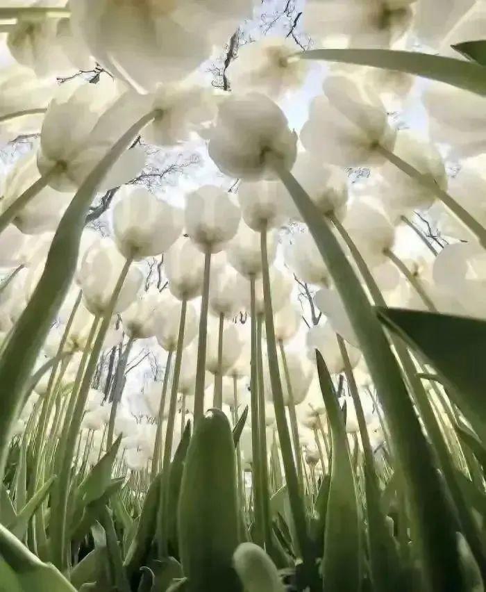 你從未見過的35個地球視角：自由女神骨架、垃圾圍城、兔子洞剖面全曝光插圖25