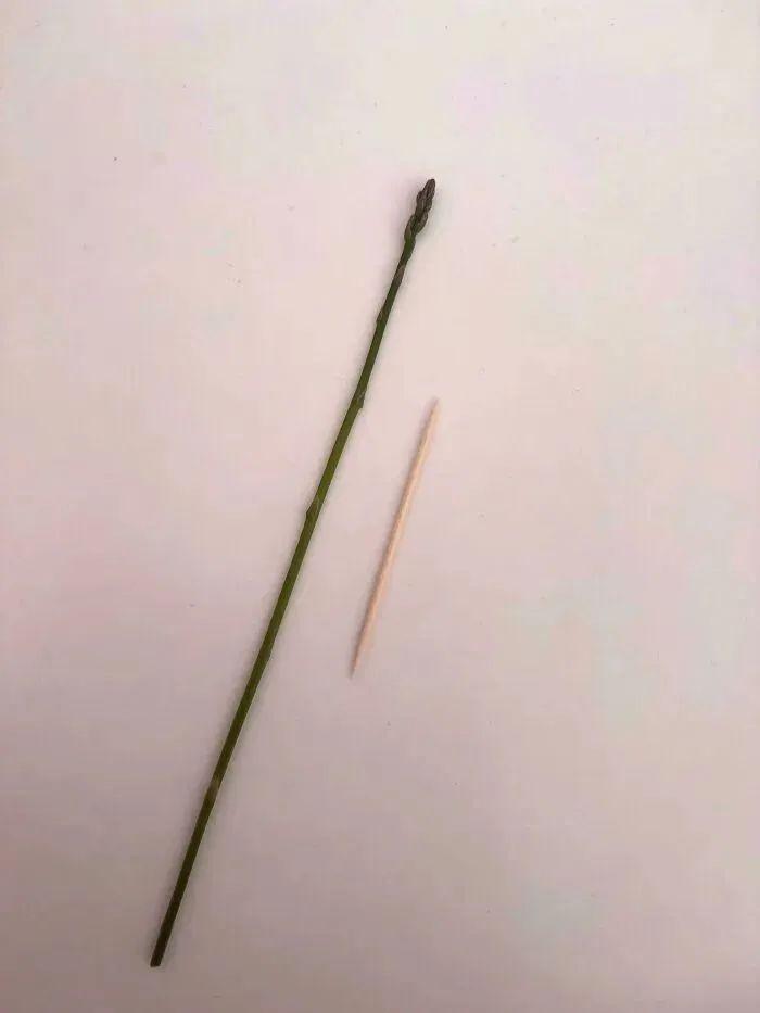 38張搞笑又扎心的收獲照：有人種出“拳頭番茄”，有人收獲一顆藍莓插圖13