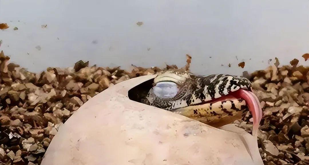 20張照片讓你大開眼界：原來地球比想象中還“離譜”！插圖15