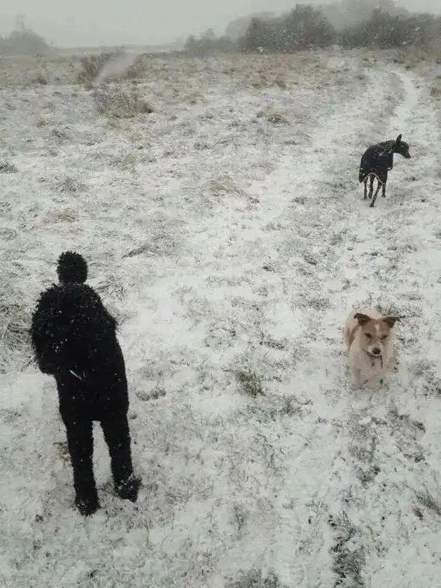 這些照片太會“騙人”：20個讓你大腦短路的錯覺瞬間插圖18