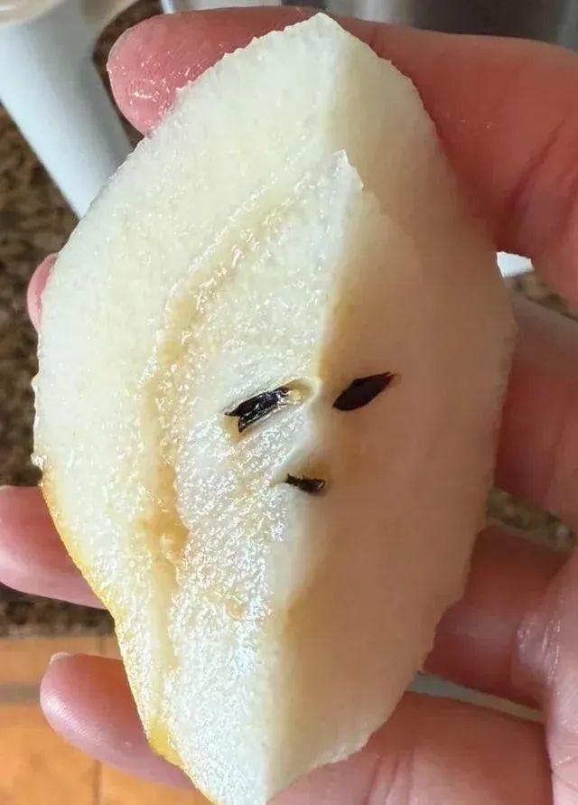 22張照騙，眼見不為實：它們正悄悄揭穿你的思維習慣插圖17