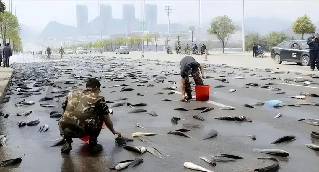 20張照片讓你大開眼界：原來地球比想象中還“離譜”！插圖