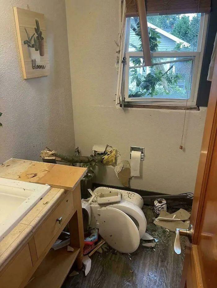 21張大自然的“壞脾氣”瞬間：笑哭、心疼、心驚全都來了插圖2