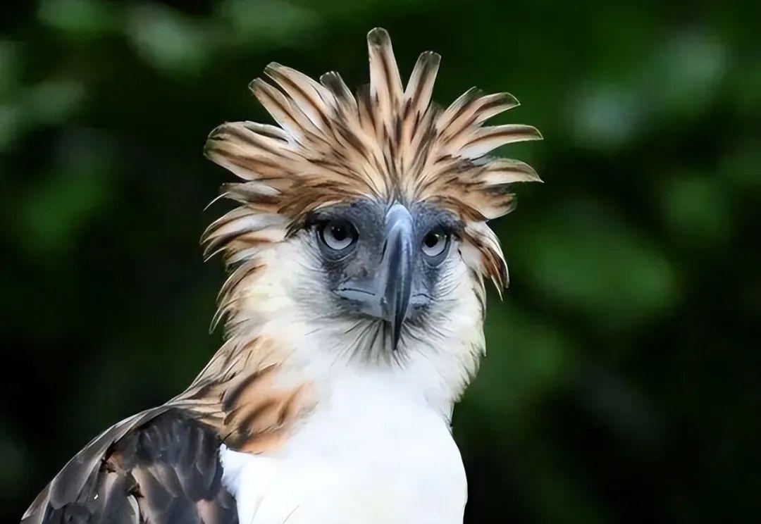 20張照片讓你大開眼界：原來地球比想象中還“離譜”！插圖14