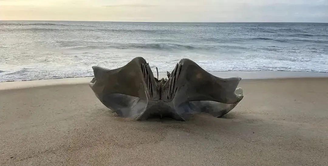 20次地球開掛的時刻：拍下來的那一刻，我開始重新審視世界！插圖9