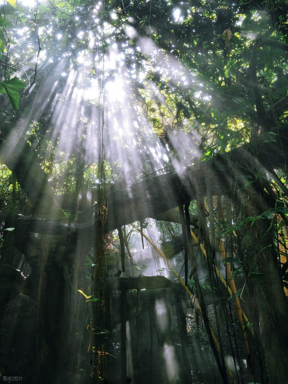 攝影新手進(jìn)階：解鎖不同時(shí)段光線密碼！插圖4