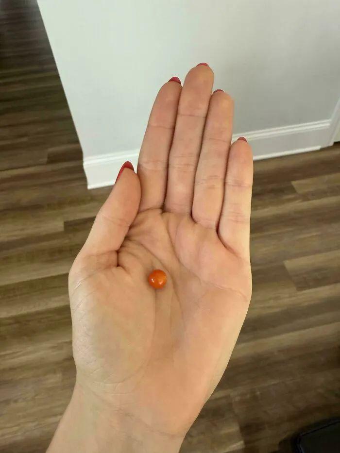 38張搞笑又扎心的收獲照：有人種出“拳頭番茄”，有人收獲一顆藍莓插圖3