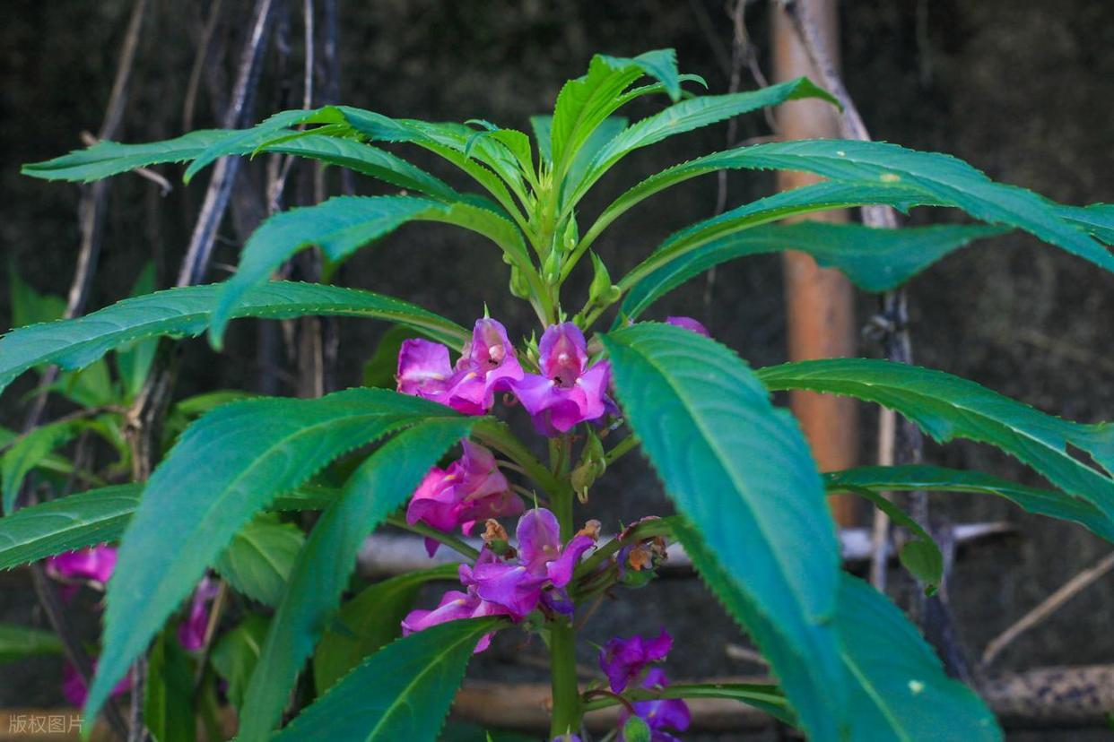 攝影新手避坑指南：別讓這些錯誤毀了你的大片夢！插圖8