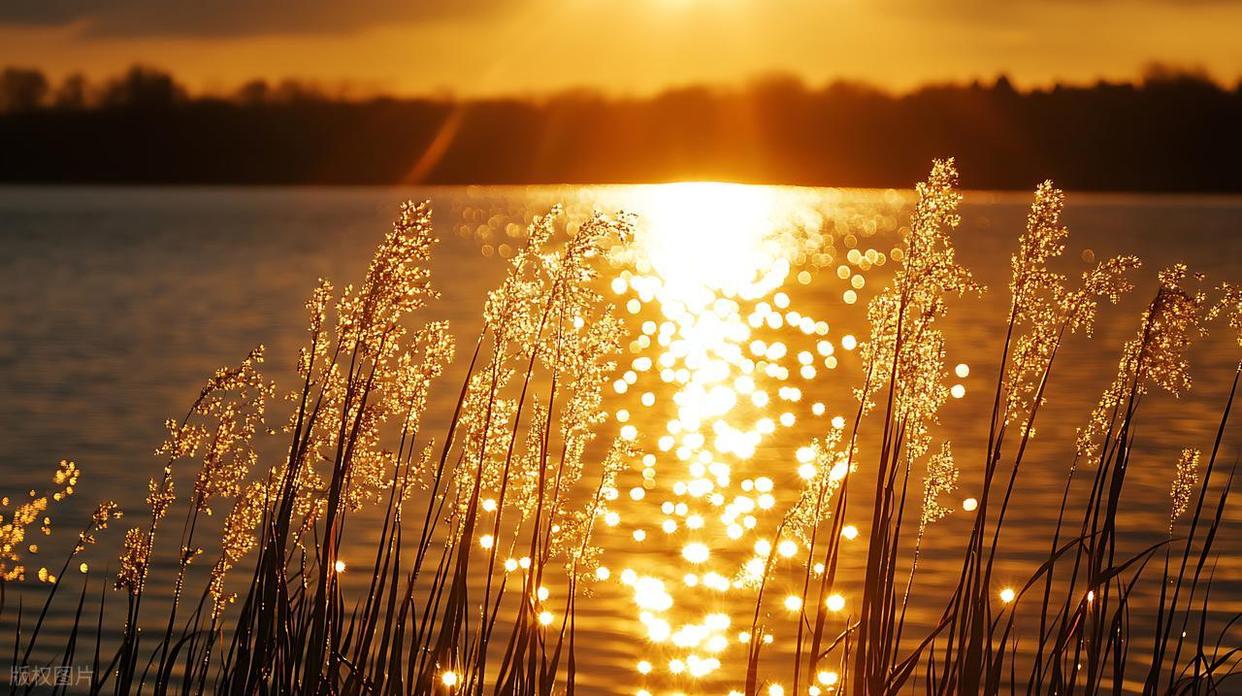 波光粼粼水面拍攝全攻略：從參數(shù)到氛圍的核心技巧插圖8