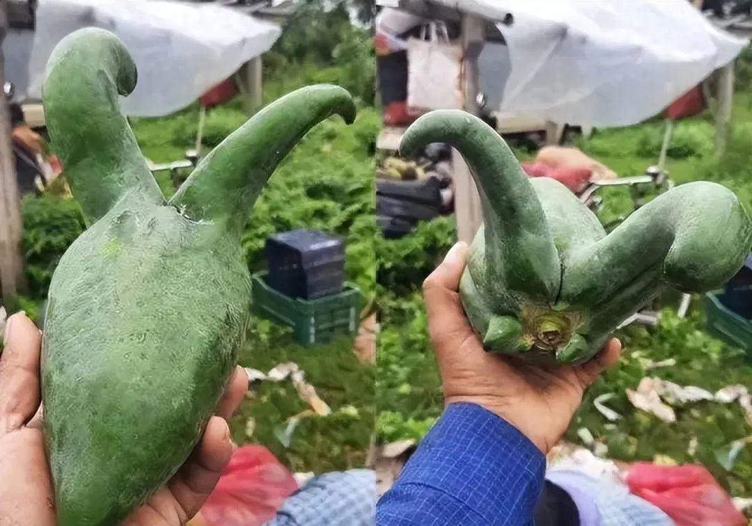 20次地球開掛的時刻：拍下來的那一刻，我開始重新審視世界！插圖1