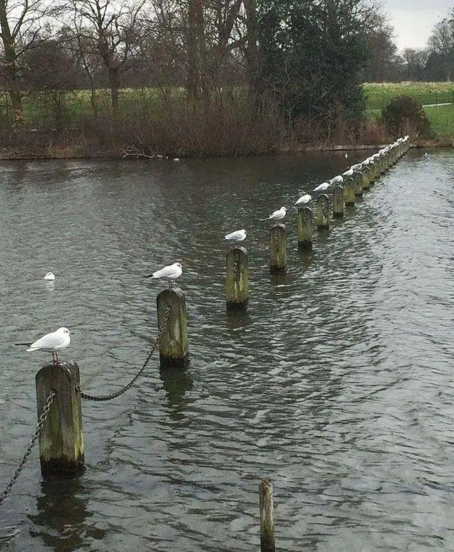 30 張“眼見不一定為實”的照片，挑戰你對現實的認知插圖19