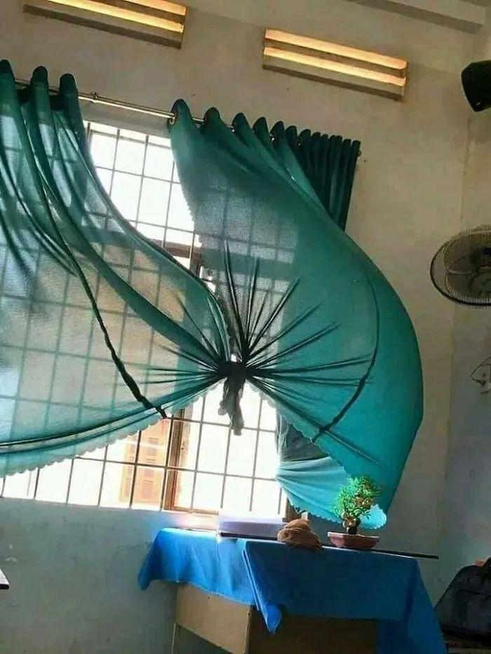 21張“現實攻擊性極強”的照片，每一張都在挑戰常識極限插圖6