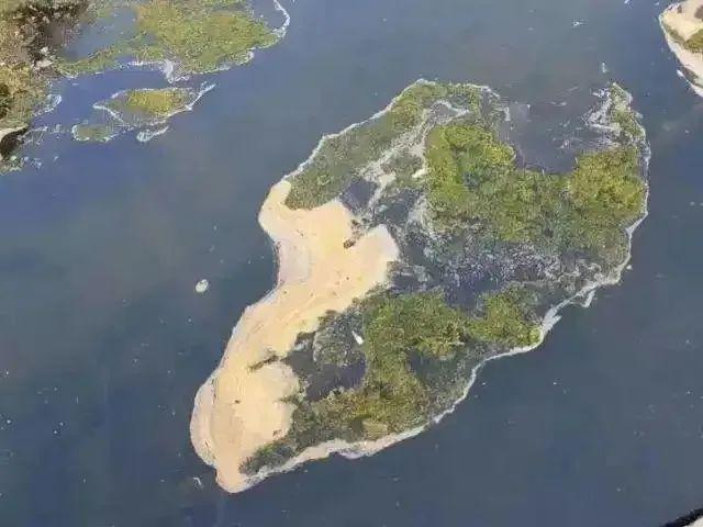 這些照片太會“騙人”：20個讓你大腦短路的錯覺瞬間插圖2