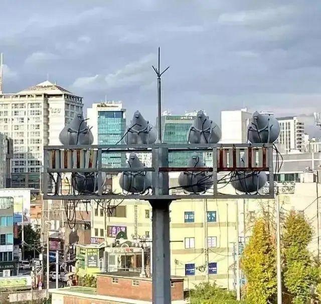 20張照片太離譜：第一眼看錯的你，不是一個人插圖12