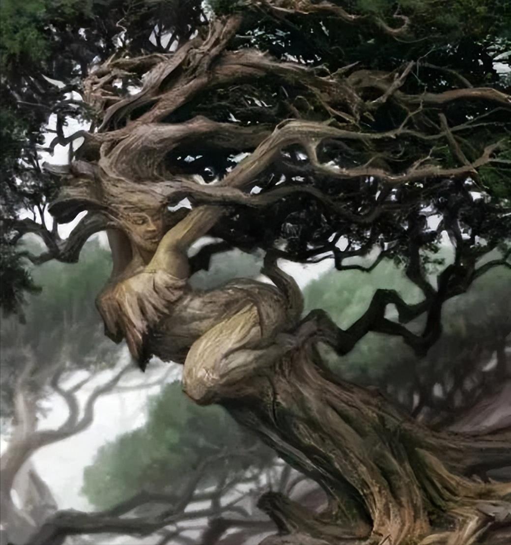 28棵“不正經”的樹：屁股、大長腿、搞笑臉，這屆樹木太會演了！插圖21