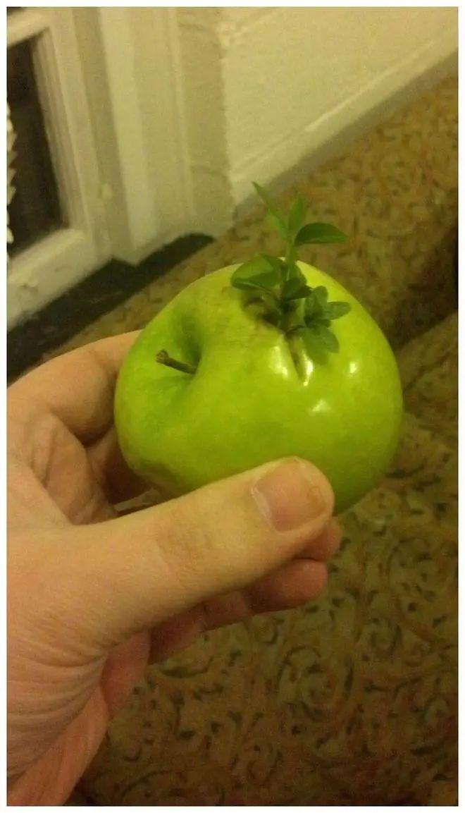 20次地球開掛的時刻：拍下來的那一刻，我開始重新審視世界！插圖15